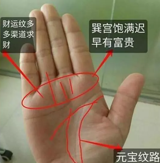 早晚都能富",生命线和智慧线,可以称之为手掌上的"天地双纹",看命运好