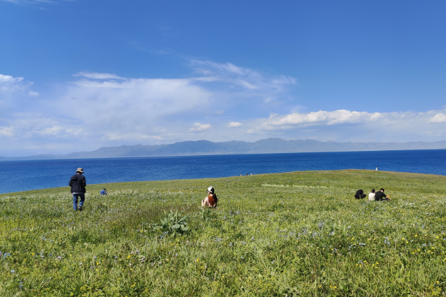 1748443360898799.png 1748441453273.png