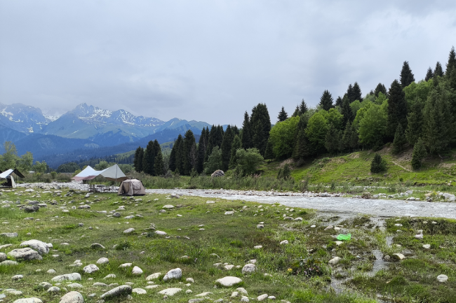 1749049492246211.png 1749033849720.png