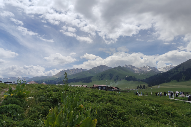 1749308863127817.png 1748499052798.png