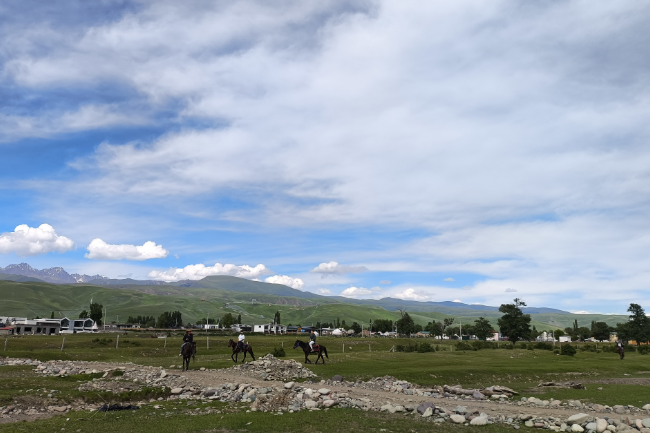 1749571616959046.png 1748876240492.png