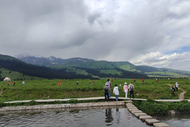 1749920217189882.png 1748500738520.png