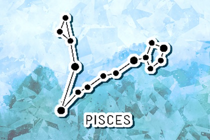 2023事业巅峰星座运势 事业运势旺的星座 2023事业巅峰星座运势 事业运势旺的星座