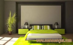 卧室风水放什么花卉好 卧室放什么植物好