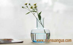 卧室风水植物 哪些植物适合放在卧室