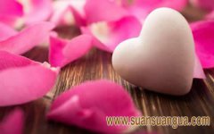 脱节独身卧室风水桃花阵摆放禁忌