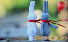 异地恋的卧室较好是摆放这些器械