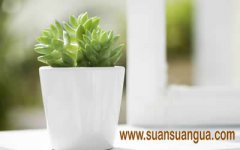 卧室风水怎么部署可以提高有身概率