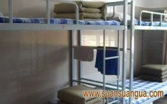 同房不同命 宿舍床位决议身体品级