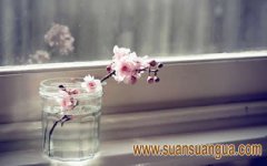 家里卧室招桃花有哪些方式