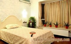 卧室种什么植物风水好 适合卧室的植物