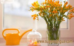 卧室风水床头不能朝向窗户吗