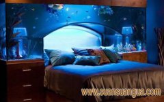 卧室养鱼风水讲求 要注意哪些禁忌