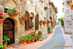 风水中的冲背煞是什么 明枪易躲暗箭难防