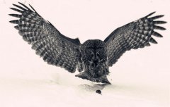 八字算命：八字印枭为喜神