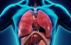 八字算命：八字表示人体器官