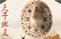 八字算命：八字干支的作用原则
