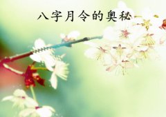 八字算命：八字月令的奥秘