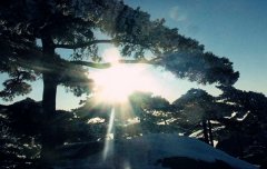 八字算命：正印坐七杀