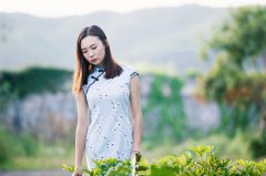 八字算命：伤官格六神旺度女命