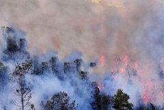 八字算命：五行木旺为什么要火助