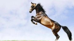 八字算命：驿马星详解