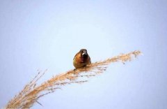 八字算命：八字十神断命口诀