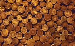 八字算命：八字木旺者的性格