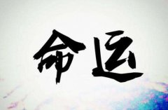 八字算命：八字身强者的性格