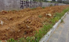 八字算命：八字土旺者的性格