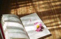 八字算命：八字无食神