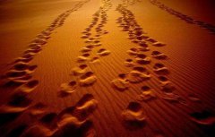 八字算命：八字看六亲生死