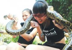 八字算命：哪些八字的人胆子大