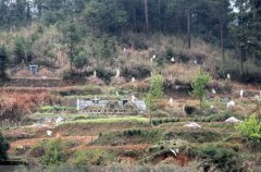 八字算命：八字如何看阴阳宅