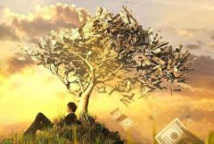 八字算命：印星通根