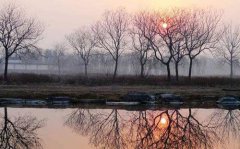 八字算命：甲木女命理分析