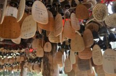 八字算命：八字断婚期