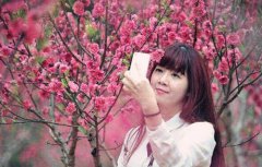 八字算命：八字算命女命