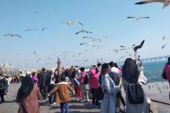 八字算命：八字性格爱热闹