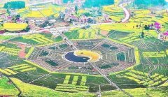 八字算命：​如何学会八字命理