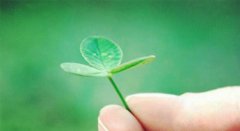 八字算命：八字格局稼穑格