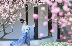 八字算命：八字没有食伤的女命