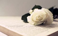 八字算命：八字看文采