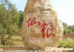 八字算命：八字带仙根的人特征