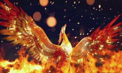 八字算命：八字算命只看神煞准不准