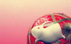 八字算命：八字神煞枭的意思详解