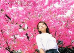 八字算命：八字的桃花杀