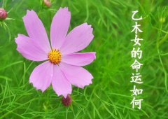 八字算命：乙木女的命运如何