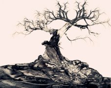 八字算命：八字五行缺木怎么办