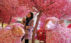 八字算命：八字神煞桃花